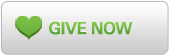 donate now